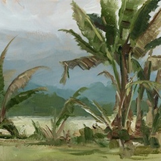Southern Palms II