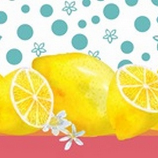 Lemon Inspiration Collection D