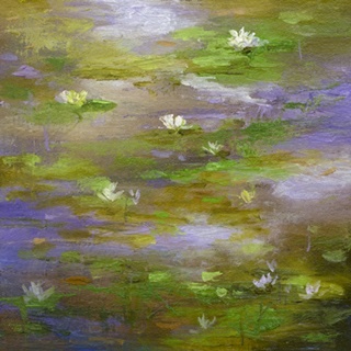 Water Lily Pond #3