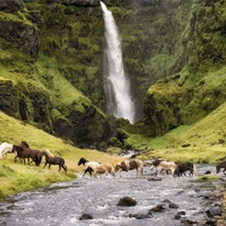 Waterfall Horses II