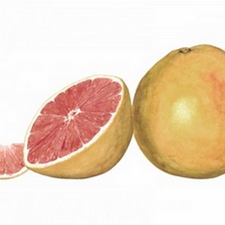 Watercolor Grapefruit