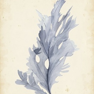 Watercolor Sea Grass VI