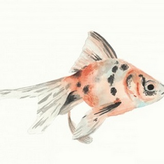Watercolor Tropical Fish I