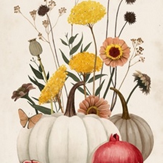 Fall Botanicals Collection B