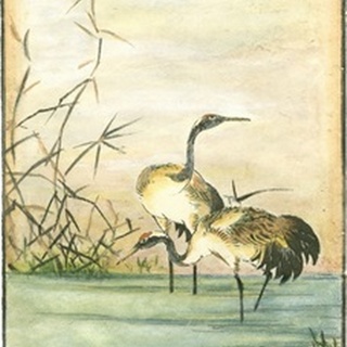 Oriental Cranes II