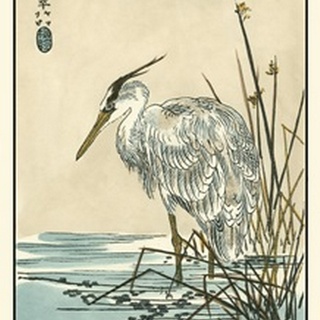Oriental Crane I