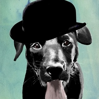 Black Labrador in Bowler Hat