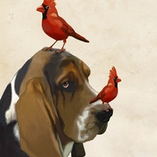 Basset Hound and Birds