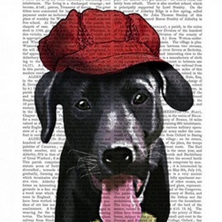 Black Labrador With Red Cap