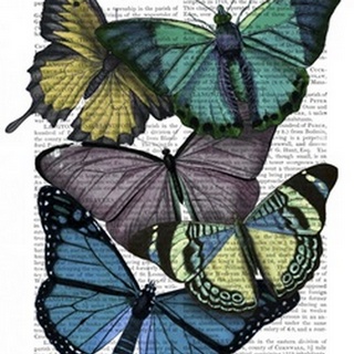 Big Bold Butterflies 4