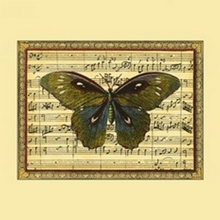 Butterfly Harmony I