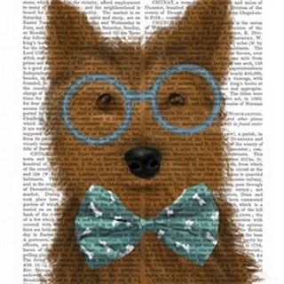 Yorkshire Terrier with Glasses and Bow Tie