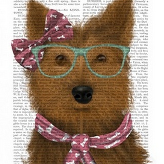 Yorkshire Terrier with Glasses and Scarf