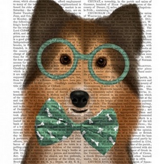 Shetland Sheepdog with Glasses and Bow Tie