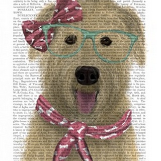 Wheaten Terrier with Glasses and Scarf