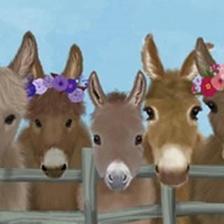 Donkey Herd at Fence 2