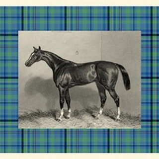 Equestrian Plaid IV