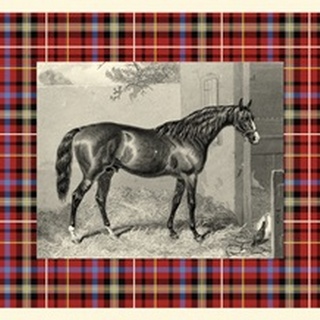 Equestrian Plaid III