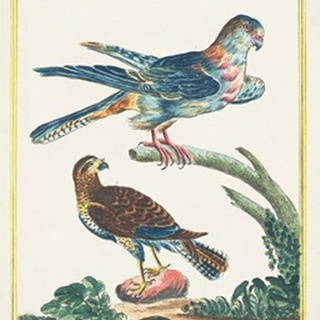 Pastel Birds III