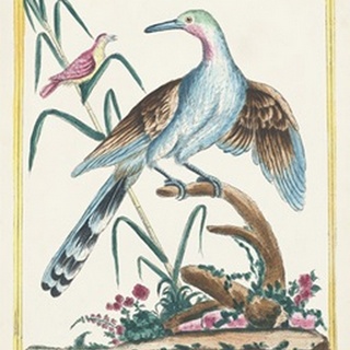 Pastel Birds V