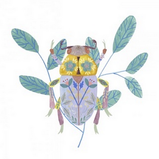 Floral Beetles III