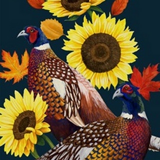 Pheasant Harvest Collection B