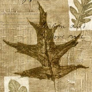 Leaf Collage II