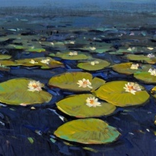 Lily Pads I