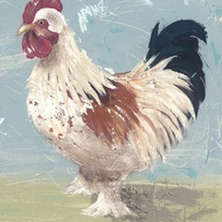 Farm Life-Chickens II