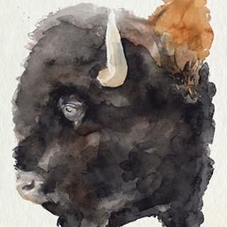 Watercolor Bison Profile II