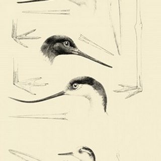 Waterbird Sketchbook V