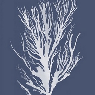 Seaweed 3 White on Indigo Blue