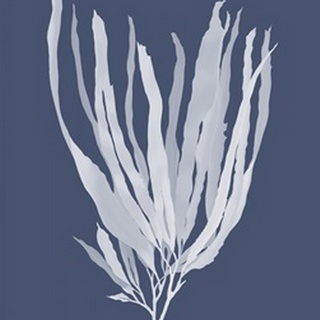 Seaweed 1 White on Indigo Blue
