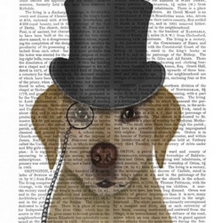 Yellow Labrador, Formal Hound and Hat