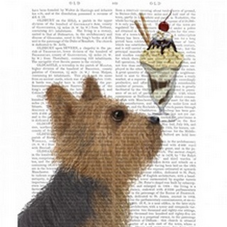 Yorkshire Terrier Ice Cream