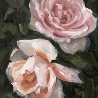 Peachy Roses II