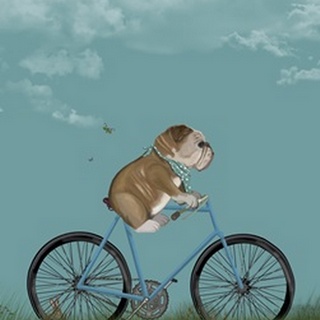 English Bulldog on Bicycle - Sky