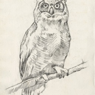 Owl Portrait I