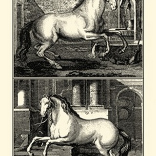 Galloping Horses II