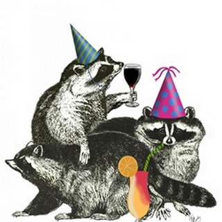 Raccoon Party