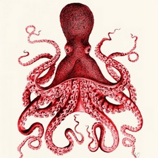 Red Octopus 3