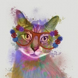 Rainbow Splash Cat 1