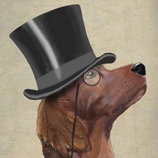 Red Setter, Formal Hound and Hat