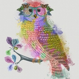 Rainbow Splash Owl