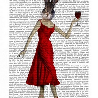 Rabbit in Red Dress