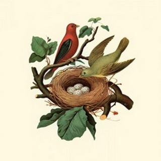 Feathering Nest II