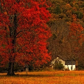 Farm House on a Autumn Morn'