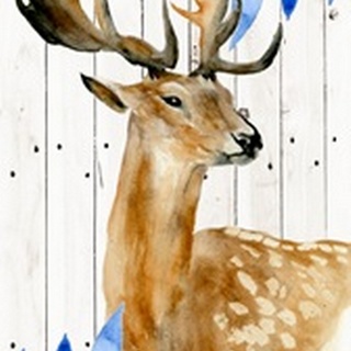 Dear Deer Collection B
