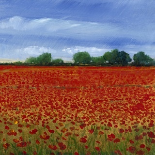 Field of Poppies II