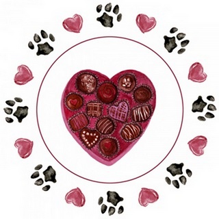 Puppy Valentine Collection C